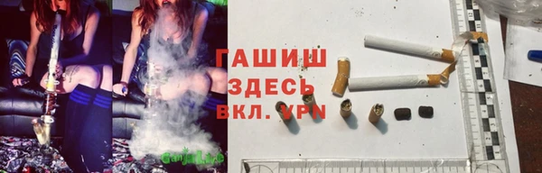 эйфоретик Аркадак