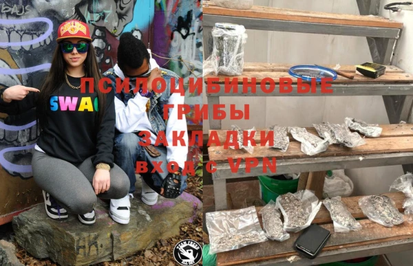 эйфоретик Аркадак