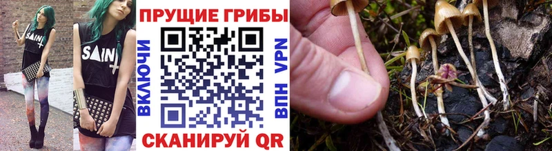 Галлюциногенные грибы ЛСД  Осташков 
